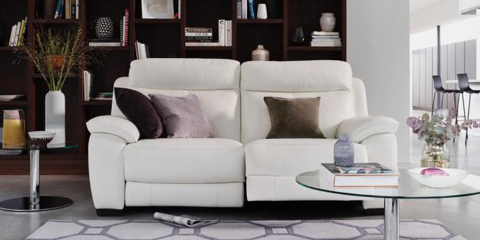 Sleek modern sofa set